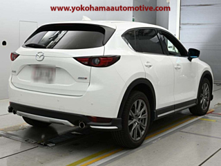 Car Image 6
