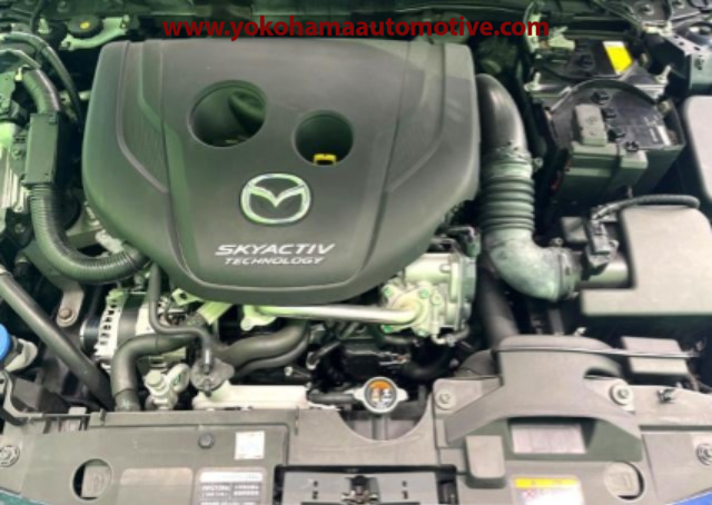 Car Image 11